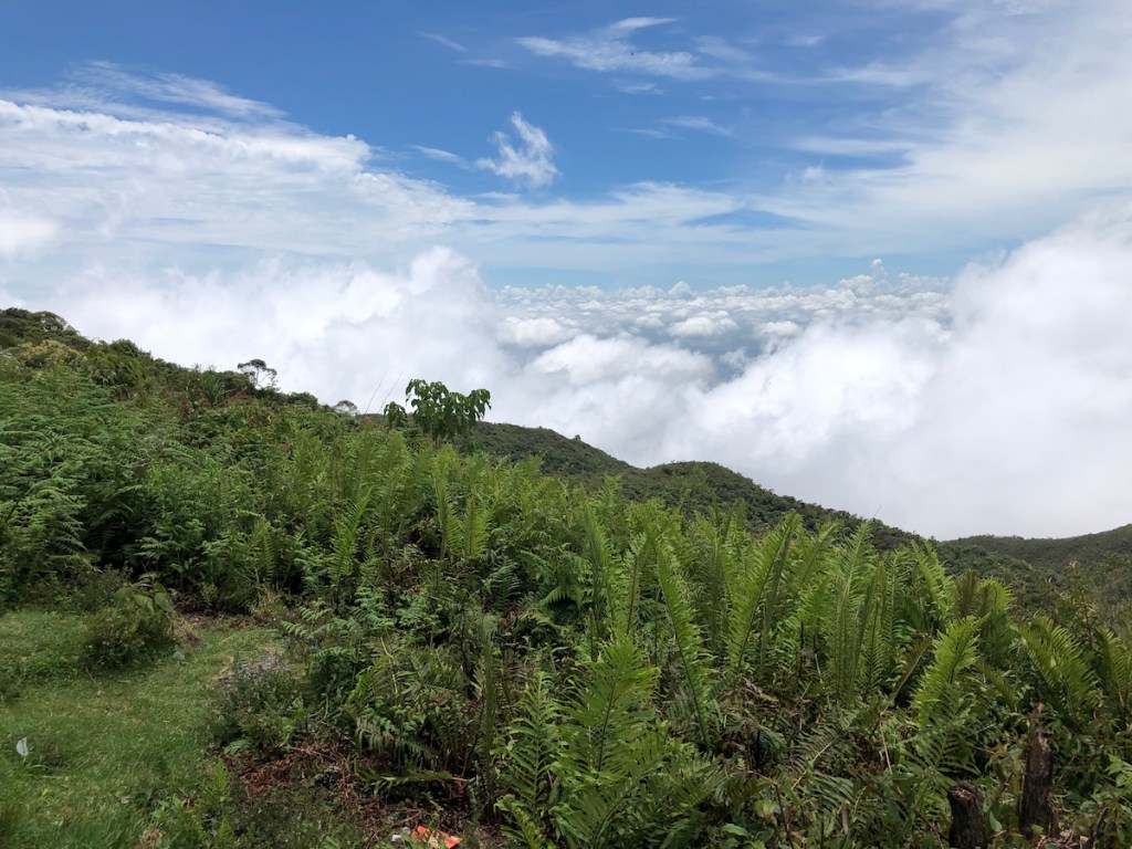 Vista na região do Pico do Itapeva, entre Campos do Jordão e Pindamonhangaba