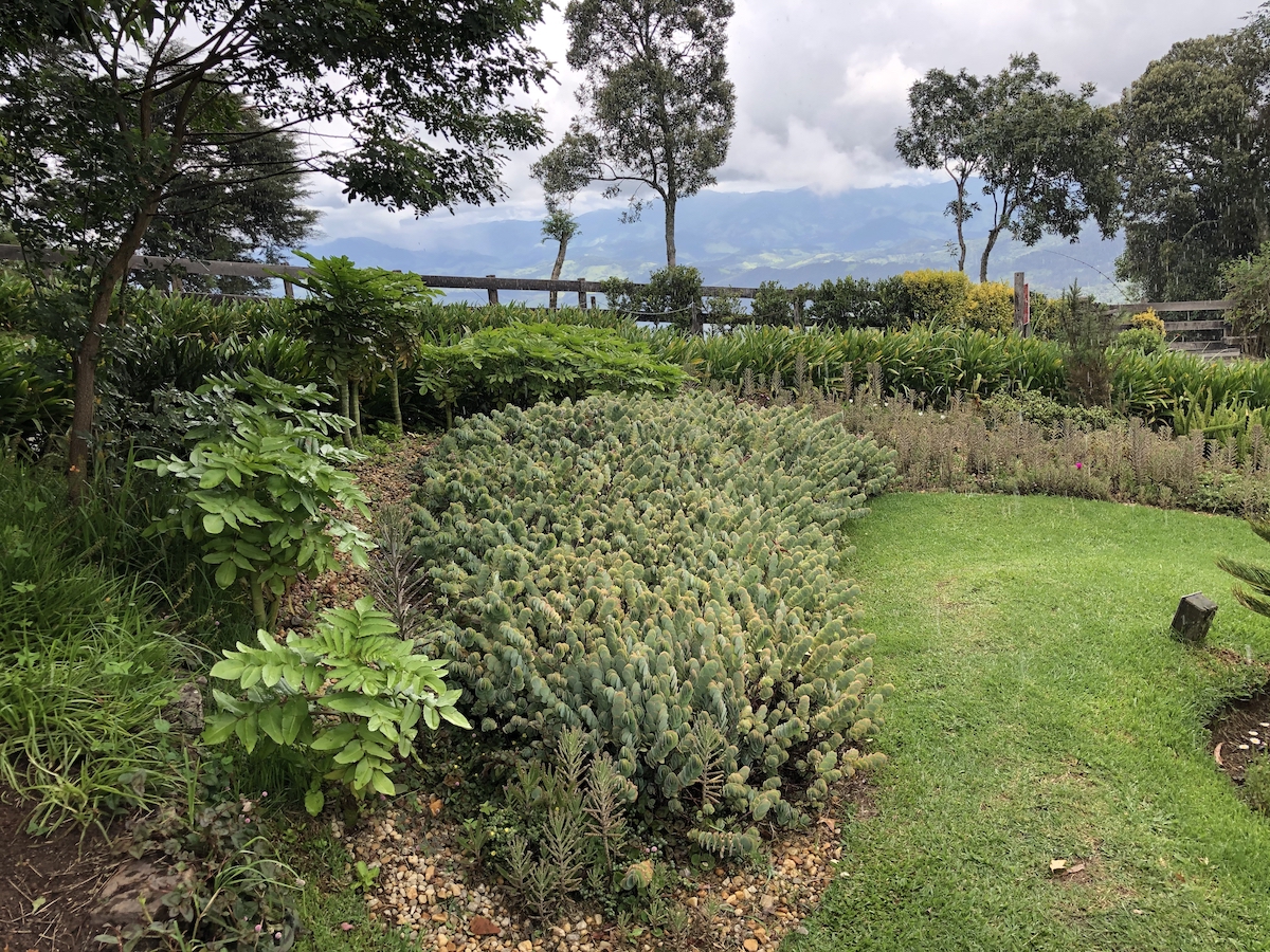 Vista panorâmica do mirante no Parque Amantikir em Campos do Jordão