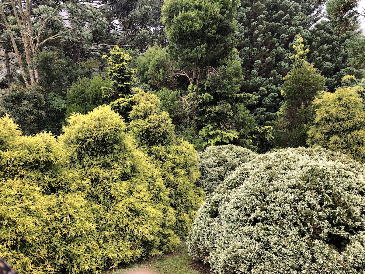 Jardins no Parque Amantikir em Campos do Jordão