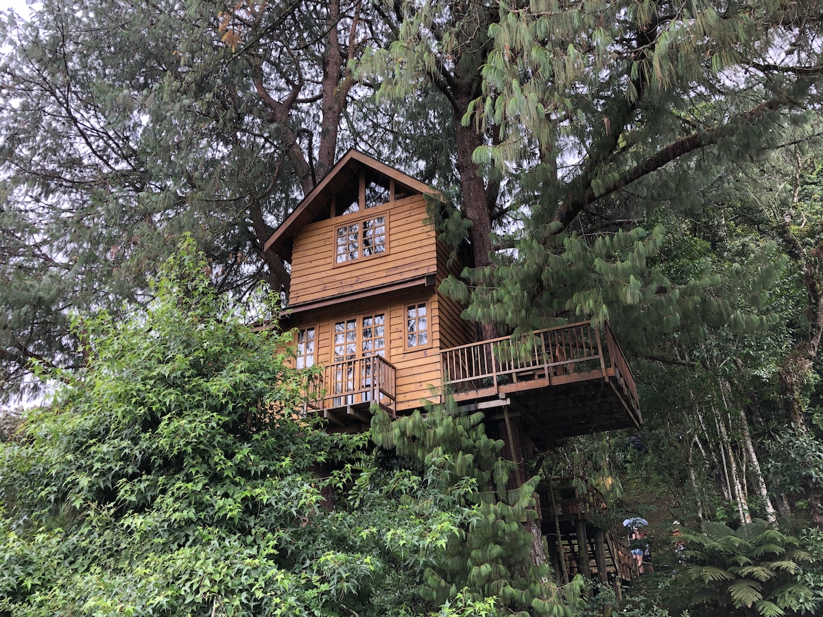 Casa na Árvore no Parque Amantikir em Campos do Jordão