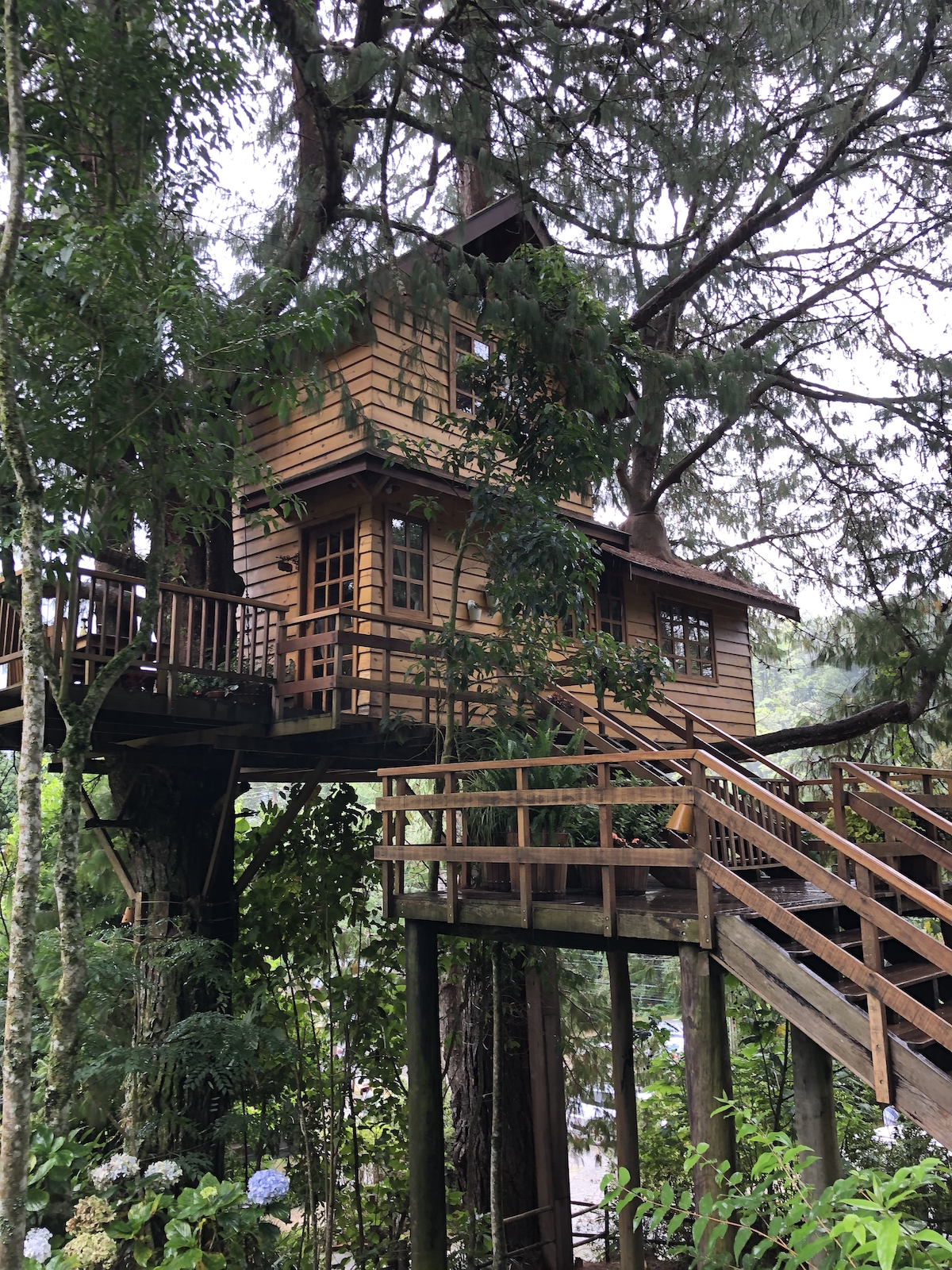 Casa na Árvore no Parque Amantikir em Campos do Jordão