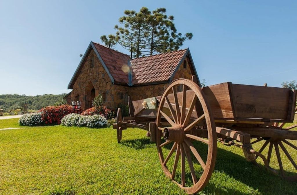 Olivas de Gramado em Gramado