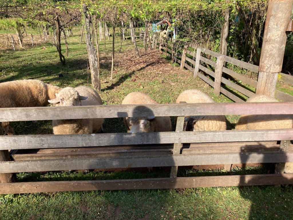 Velho Casarão Visenzo Marcon em Gramado