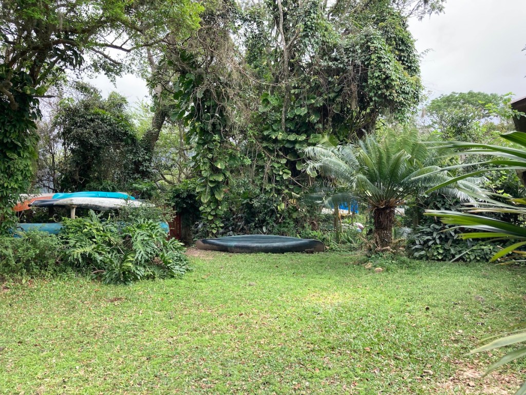 Área verde Projeto Lontra em Florianópolis, às margens da Lagoa do Peri 