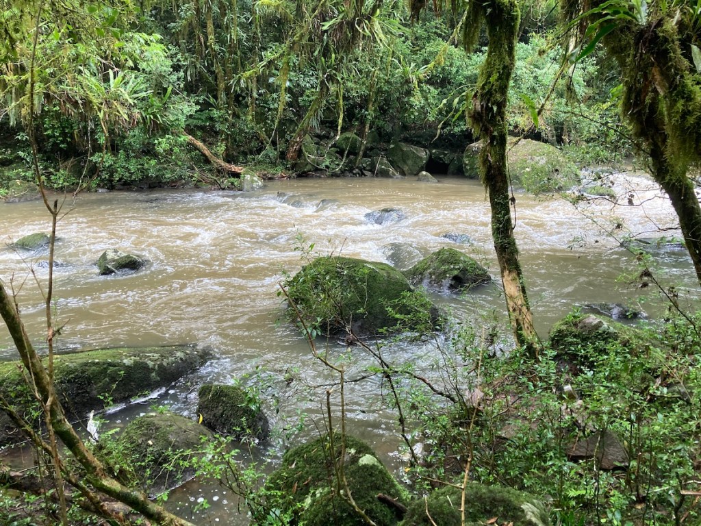 Água do riacho ao lado da trilha do Pé da Cascata do Caracol em Canela, na serra gaúcha