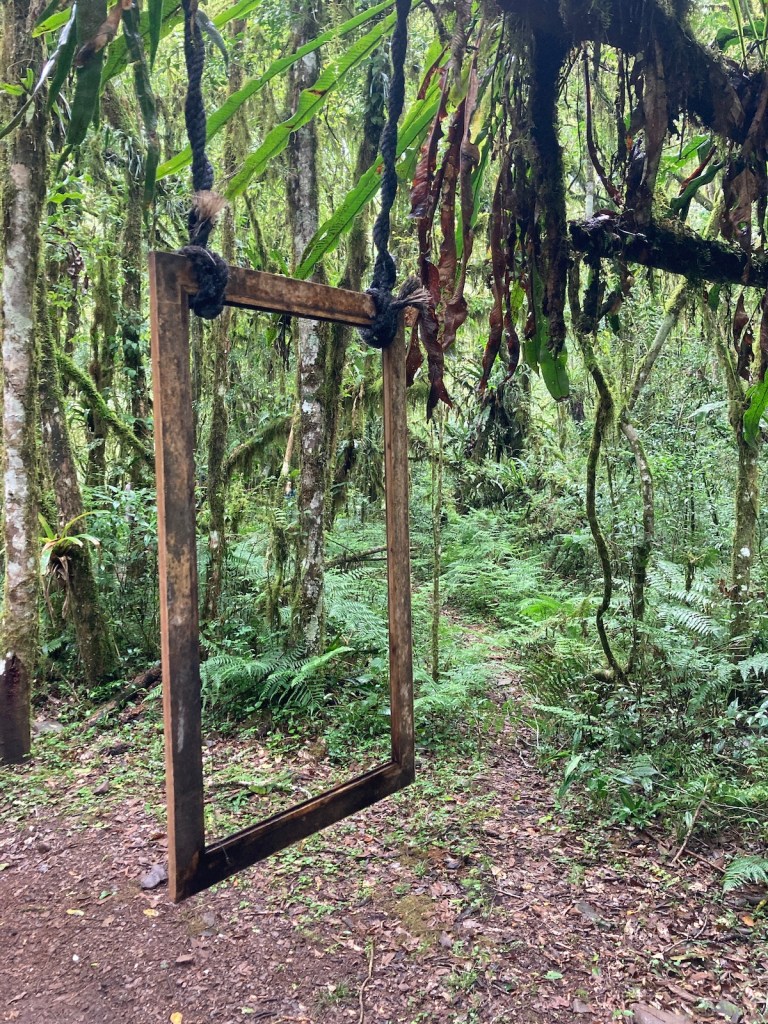 Moldura pendurada em árvore na trilha do Pé da Cascata do Caracol em Canela, na serra gaúcha