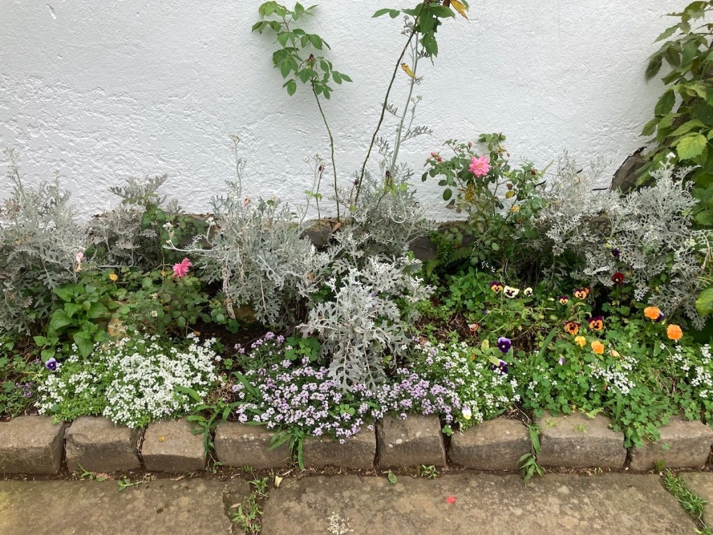 Jardim com flores da Casa da Dona Ivonne no Pé da Cascata do Caracol