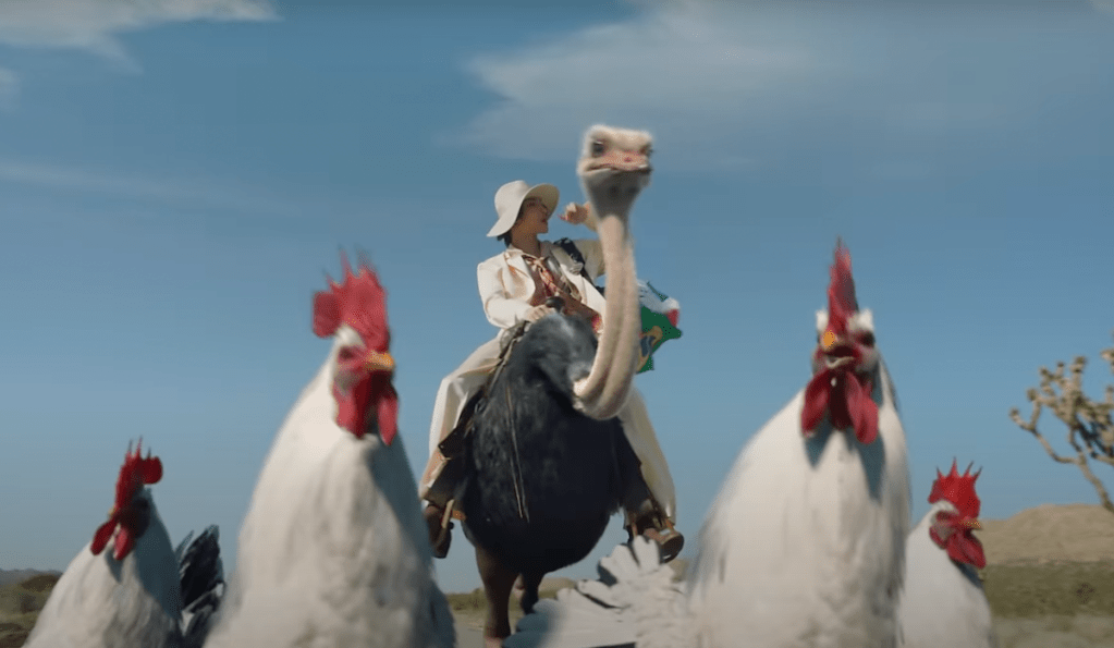 Cena do MV de "WORK" do álbum Golden Hour: Part.1 do ATEEZ com galinhas e um avestruz