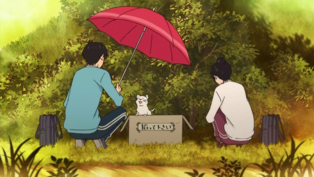 Imagem do anime Kimi ni Todoke com Sawako Kuronuma e Kazehaya Shouta cuidando de um cachorrinho abandonado