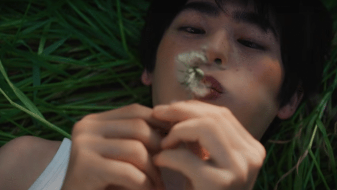 Cena do MV de "Everlasting" do álbum de mesmo nome da banda N.Flying com um dente de leão sendo soprado pelo protagonista da história que o MV conta