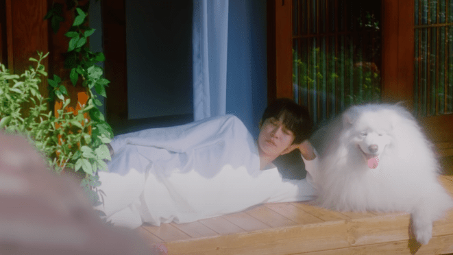 Cena do MV de "Memory" do álbum Soar com Doyoung deitado em uma varada ao lado de um cachorro branco lindo