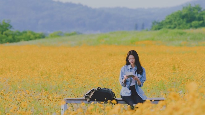 Imagem do K-Drama My Lovely Journey com Gong Seung-Yeon (Kang Yeo-Reum) sentada em um banco com uma mochila, uma carta e um cenário no meio da natureza cheio de flores amarelas